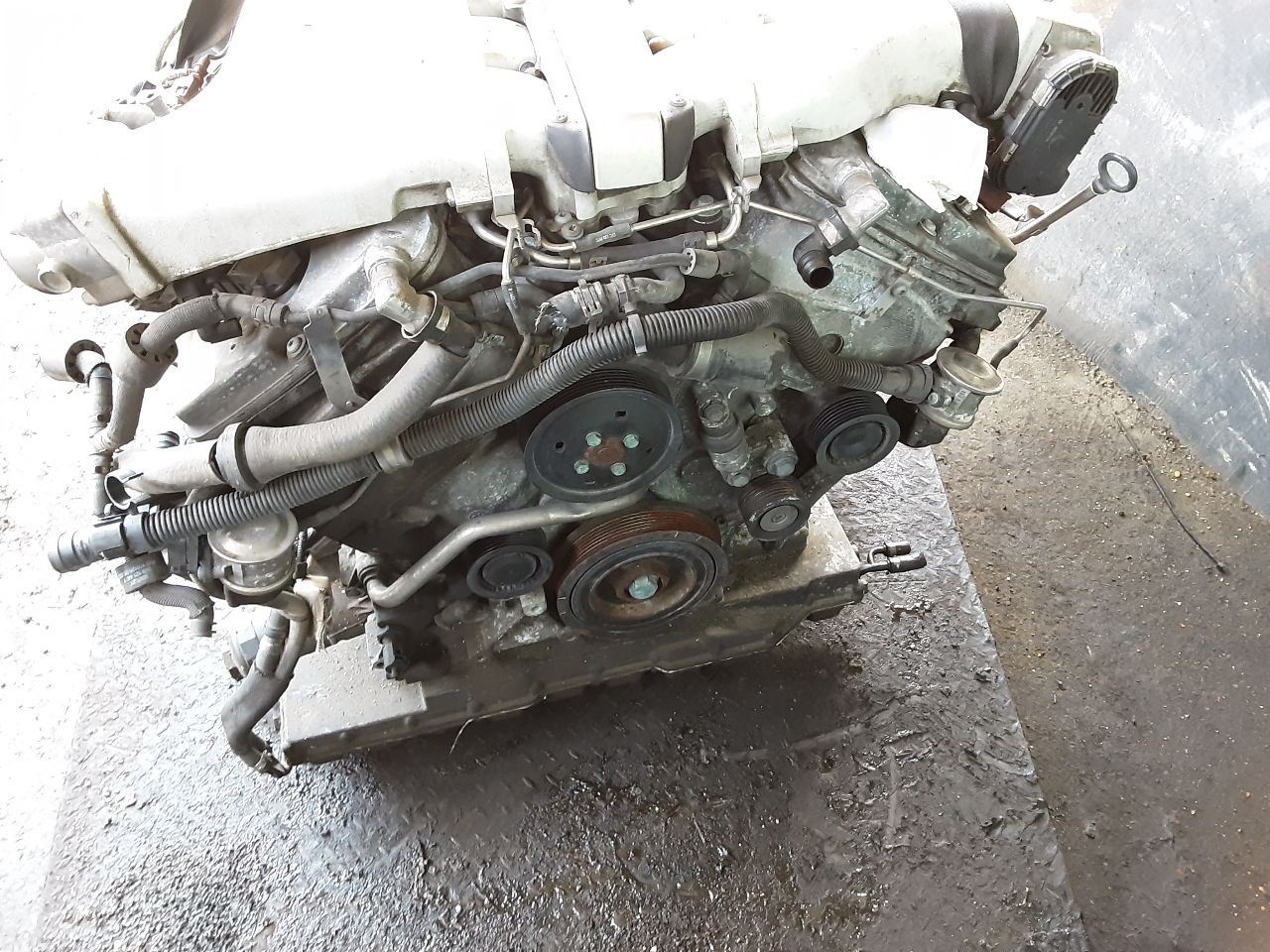 Bentley Continental GT 2004 Engine assembly P/N 596889