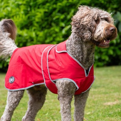 Stormguard Softshell Waterproof Dog Coat | eBay UK
