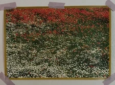 Field Of Flowers Poster Art Print Frame-Worthy