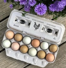 Henlay Laid Local Egg Cartons - Adorable Printed Vintage Design - 25, 90, or 250