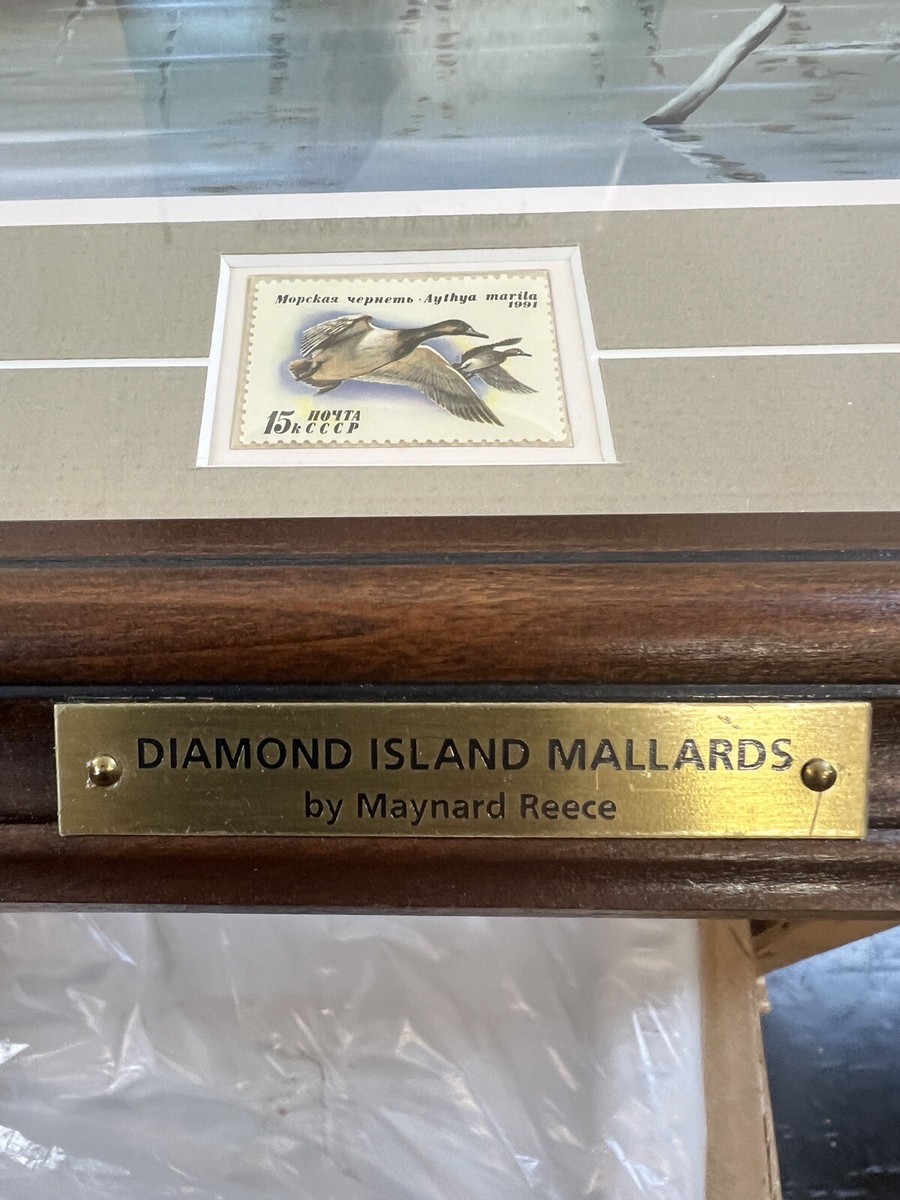 Through The Trees by Maynard Reece Framed Wildlife Preservation