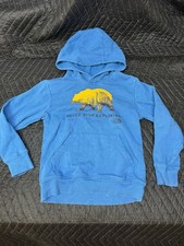 The North Face Boys Size XS 6 Blue Hoodie