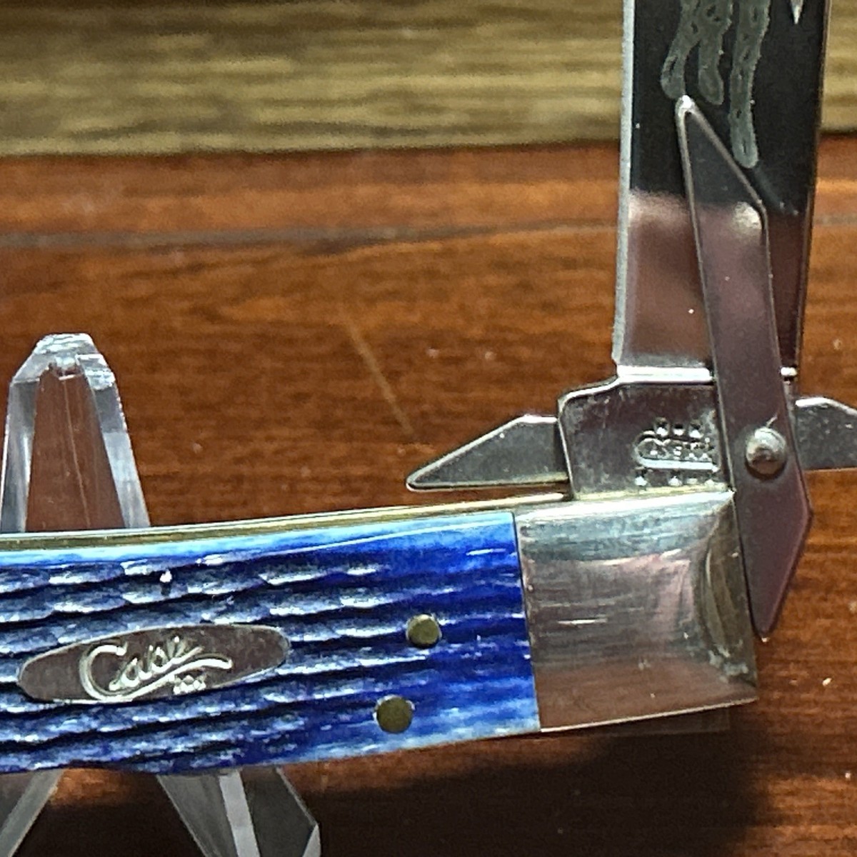 Case XX 2004 Cheetah Blue Bone 6111 1/2 Pocket Knife | eBay