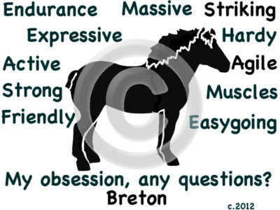 Breton Horse My Obsession,  Any Questions? T-shirt Choices