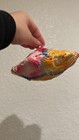 Crochet Potholder Trivet Multi Color Sphere or Saucer — photo 1