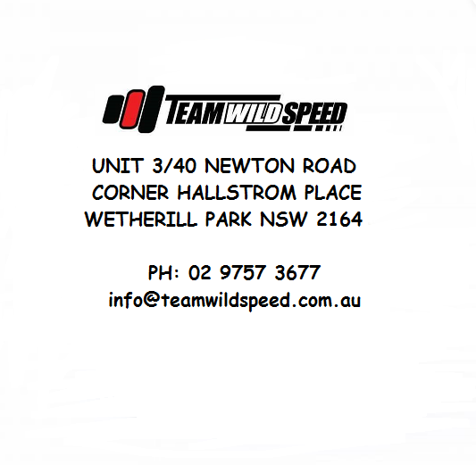 AMSOIL DOMINATOR OCTANE BOOSTER 355ML eBay