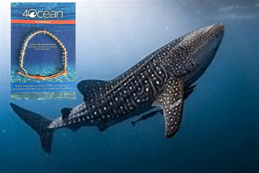 Bracelet recycled plastic ocean store