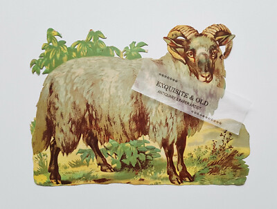 um 1900 Widder Wildtier Natur Glanzbild Oblate Prägedruck Ephemera Luxuspapier