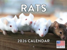 Rat Calendar 2026 Monthly Wall Calender 12 Month
