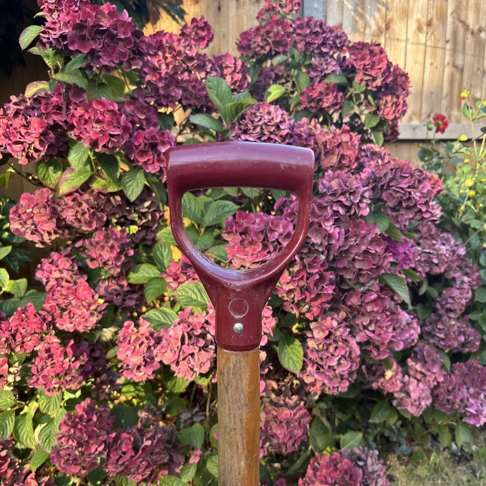 Horquilla de borde de jardinería Foto 4 de 4