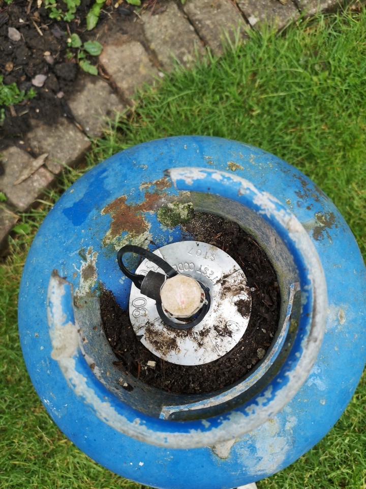 Calor Gas Butane Bottle Blue 15 kg Gas Bottle (Approximately 70 full