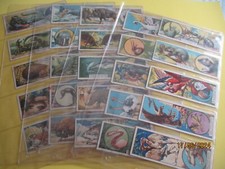 Typhoo, Animal Offence & Defence, Full Set of 25