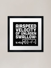 Airspeed velocity of unladen swallo Framed Wall Art Poster Canvas Print Picture