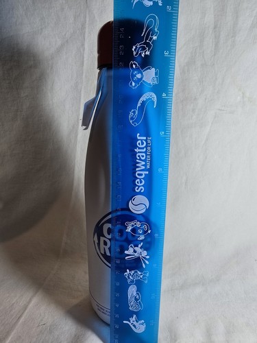 Cool Ridge Australian Spring Water Stainless Steel Water Bottle New Reuse! Promo - Picture 2 of 11