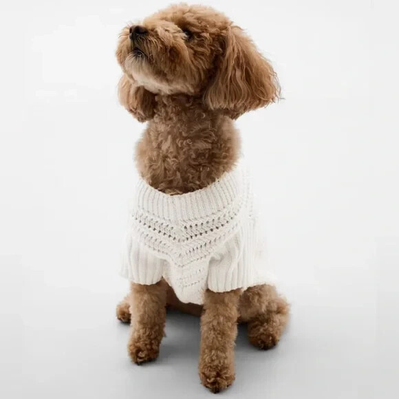 Gap Crochet Dog Sweater, size Medium, $45 Retail NWT