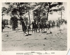 Massacre 1956 Movie Photo 8x10 Director Louis King  Press Still  2  *P56c