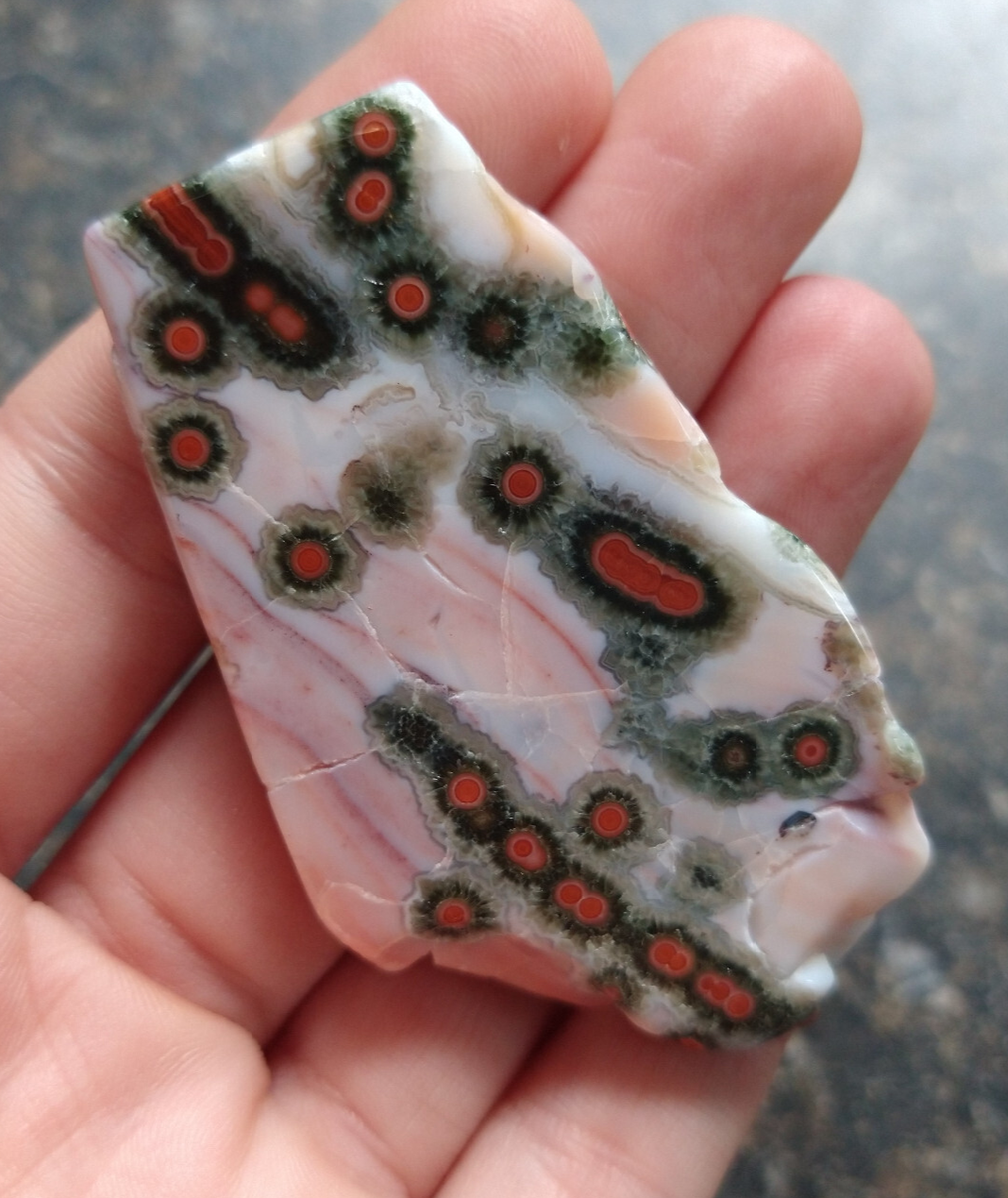 Vein Old Stock Polished Orbicular Ocean Jasper Slab Madagascar