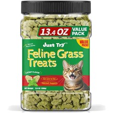 Cat Grass Treats for Indoor Cats - 13.4 Oz Natural Hairball Remedy  Dental Care