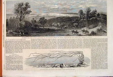 Original Old Antique Print River Auckland New Zealand Zostera Marina Cotton 1862