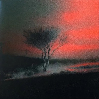 Joji - Piss In The Wind (Marbled Vinyl) Vinyl LP DP09558388