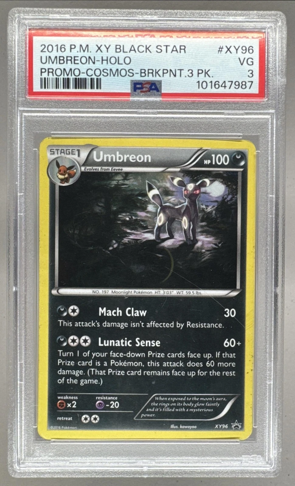 eBay