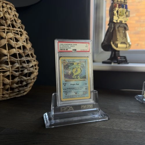 Gyarados 6/102 Shadowless Base Set Holo Rare Pokemon Card 1999 WOTC TCG Pokémon