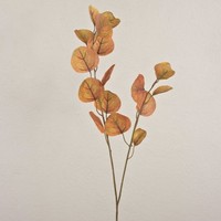 Artplants KüNstlicher Eukalyptus Zweig Sopong, Braun, 80Cm