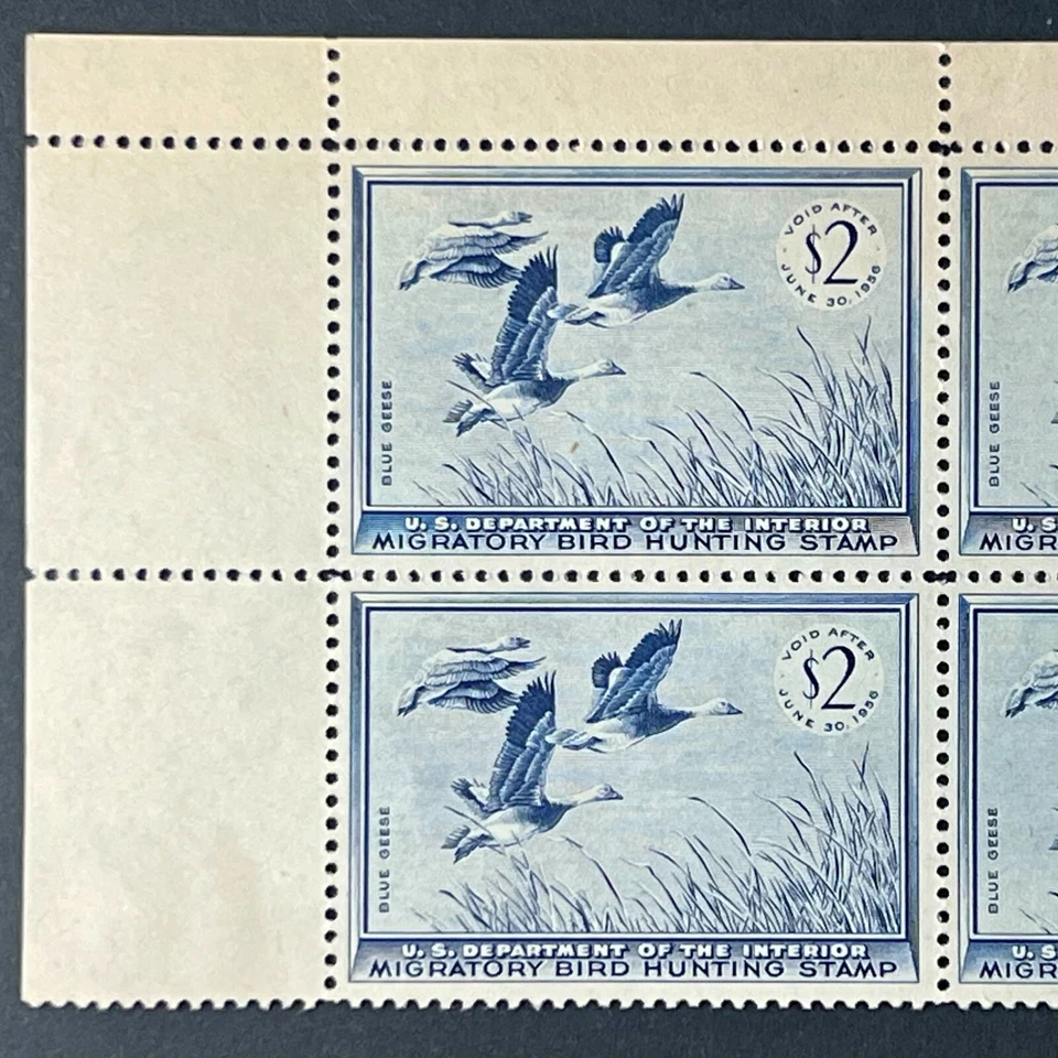 1955 US #RW22 - Federal Duck Stamps, Plate No Block of (6), Blue Geese, OG, MNH - Image 3 of 4