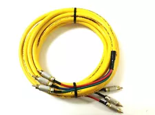 Wireworld Chroma 5 Component Video CRC Cable - 6M Length