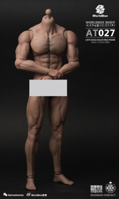 Worldbox 1/6 Male Body AT027 Man Model Action Figure Hot Toys