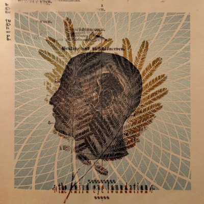 THE THIRD EYE FOUNDATION - WAKE THE DEAD   CD NEU 