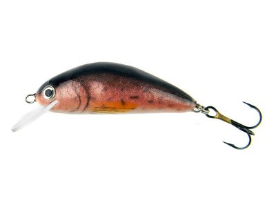 cane pole pike fishing FISHING WITH CANE POLES