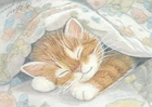 ACEO orig. pastel drawing sleeping ginger kitten with blanket by Anna Hoff