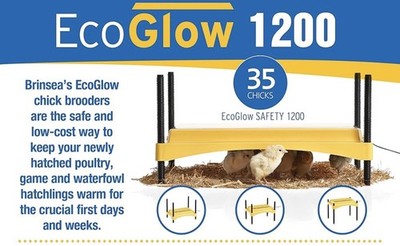 Ecoglow Safety 1200 Chick Brooder Poultry Care Adjustable Height Black/Yellow