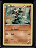 2011 Pokemon BW Black Star Promos Riolu Holo #BW33
