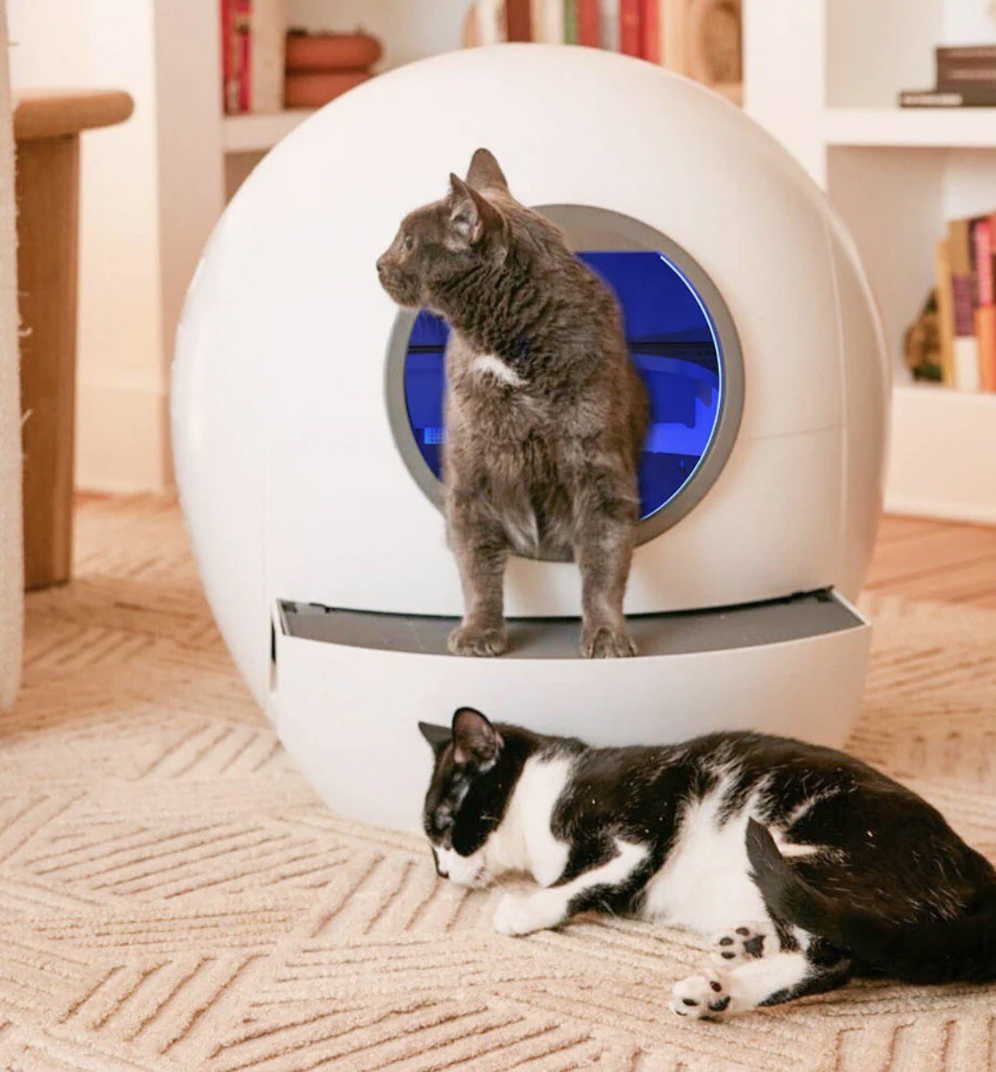 Els Pet Self Cleaning Litter Box eBay