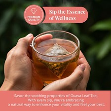 50 Guava Leaves Tea Bags, Pure Guava Tea, Te De Hoja De Guayaba, Caffeine Free
