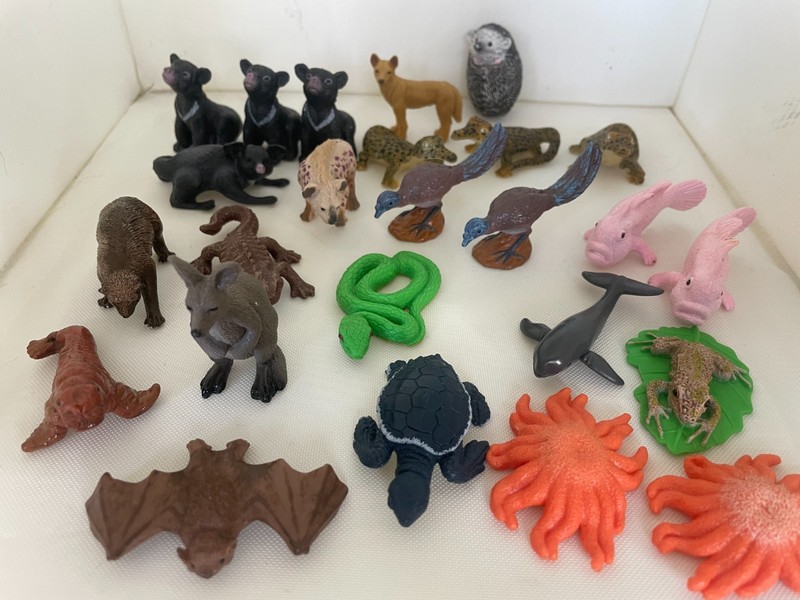 YOWIE WILD ANIMALS LOT PLASTIC REALISTIC LOGGERHEAD SEA TURTLE DAYCARE PRESCHOOL