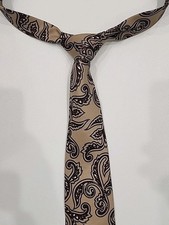 Vtg Pierre Cardin Mens Tie 100 Silk Made in Italy Paisley Necktie