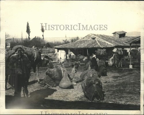 1923 Press Photo Camels at a garage in Smyrna, Greece - piz04054