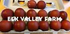 Black Copper Marans & Olive Egger Hatching Eggs Directly From Elk Valley Farm