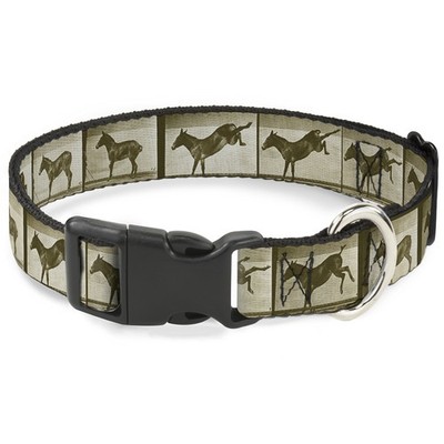 Plastic Clip Collar Bucking Donkey Vintage Film Strip WIDE-Small 13- (US IMPORT)