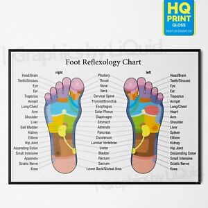 Reflexology Chart Poster