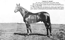 Man O War Race Horse Lexington Kentucky KY - Reprint