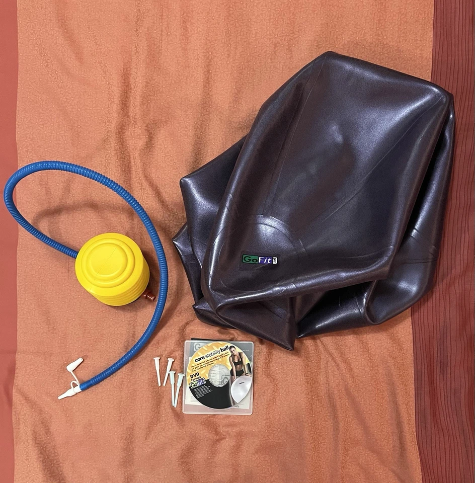 GoFit Ultimate Core Stability Exercise Ball 65CM with Pump, DVD, and Poster - Image 3 of 4