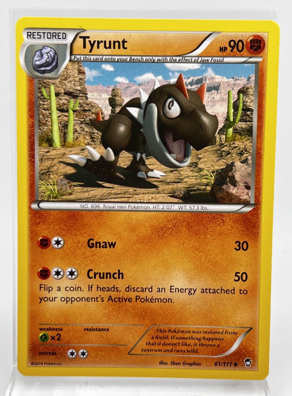 Tyrunt 61/111 Pokémon Card 2014 Furious Fists LP