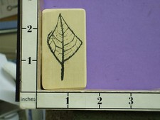 red castle plant leaf aspen  tree rubber stamps 32Q