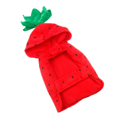 Vêtements Pour Animaux De Compagnie Fraises le plus cher Déguisement