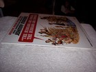 Foto 3 di 8