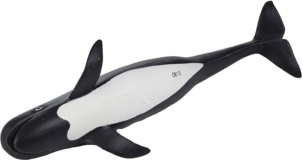 PILOT WHALE Animal Figurine Safari Ltd. toy Sea Life Collection | eBay